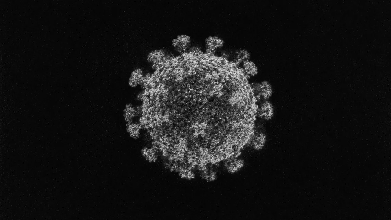 Electron Microscopy for sars-cov-2